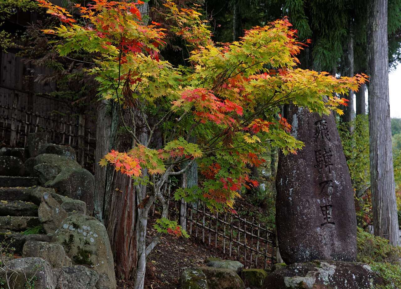 紅葉の季節