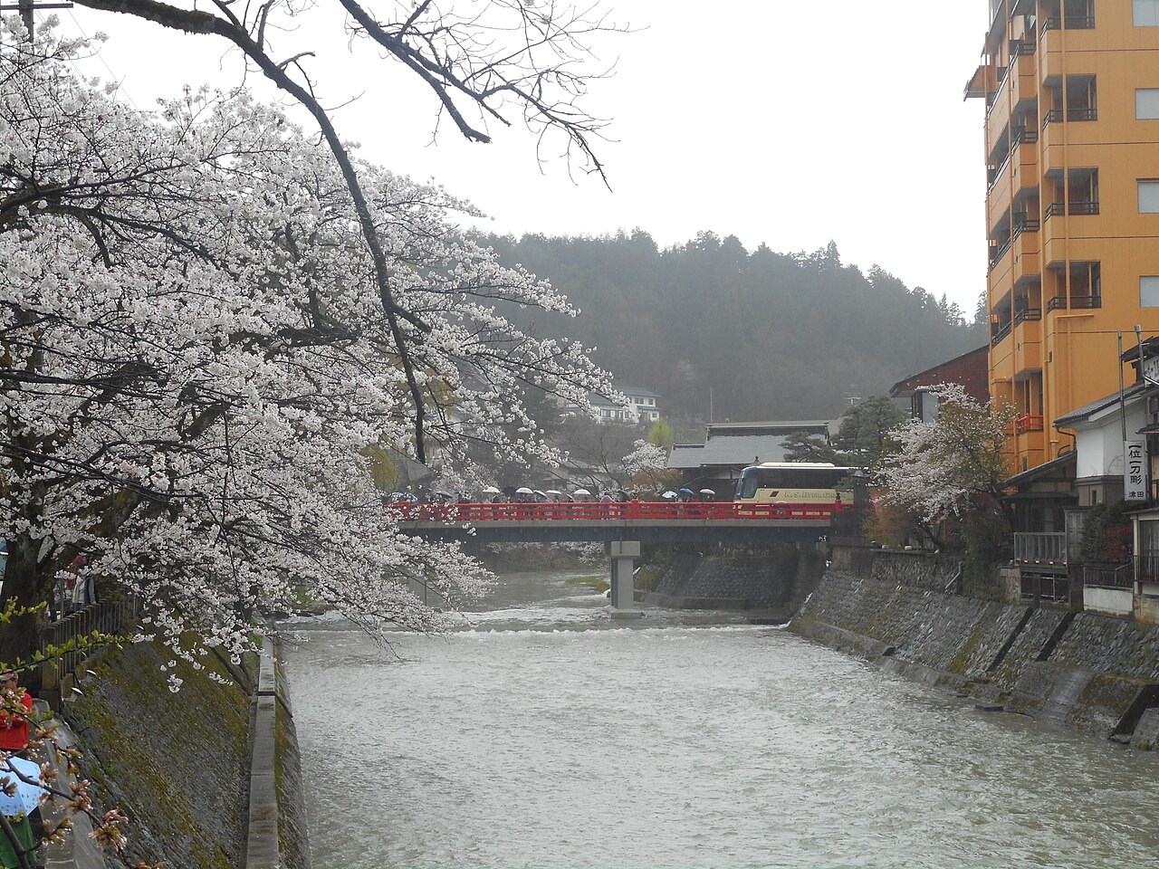 桜の季節